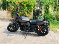 Harley Davidson Street Rod 2019 Model