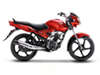 TVS Jive