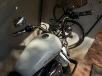 Birch White Harley Davidson Superlow