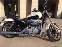 Black Harley Davidson Superlow