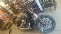 Grey Harley Davidson Dyna FXDB Street Bob