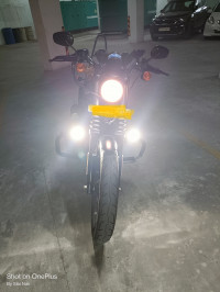 Harley Davidson Iron 883 2021 Model