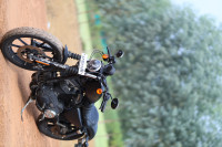 Mate Black Harley Davidson Iron 883