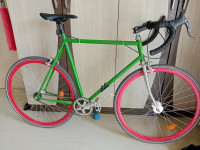 Bicycle  Astra 2019 Model
