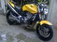 Metallic Yellow Honda Hornet 900