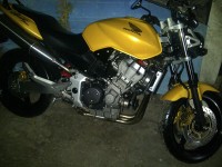 Metallic Yellow Honda Hornet 900