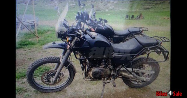 Re Himalayan Spied New
