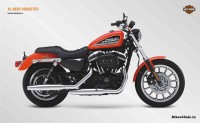 Harley Davidson XL 883R Roadster Photo