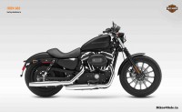 Harley Davidson Iron 883 Photo