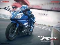 Yamaha R15 V2 Photo