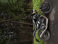 Triumph Speed 400 2025 2025 Model