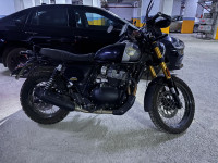 Golden Shadow Royal Enfield Bear 650