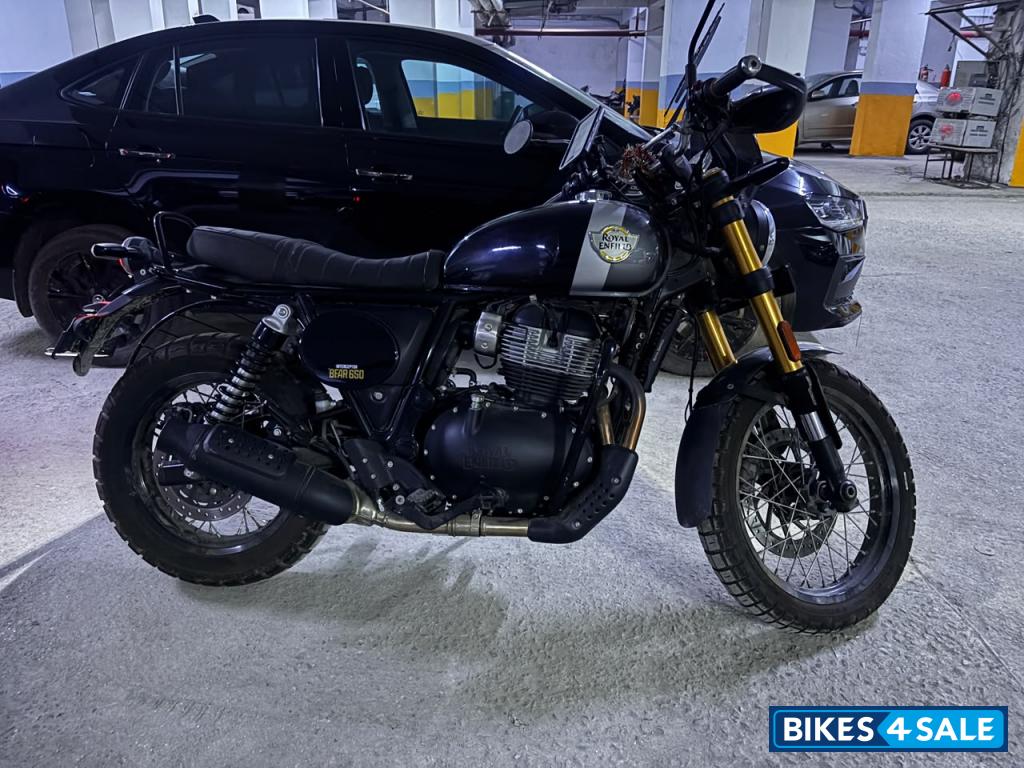 Golden Shadow Royal Enfield Bear 650 Golden Shadow Royal Enfield Bear 650