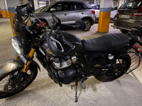Golden Shadow Royal Enfield Bear 650