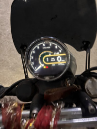 Golden Shadow Royal Enfield Bear 650