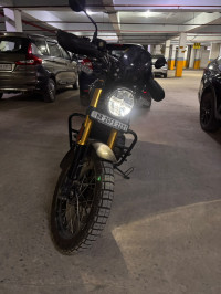 Golden Shadow Royal Enfield Bear 650