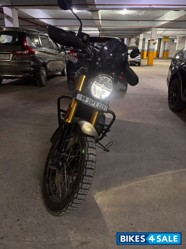 Golden Shadow Royal Enfield Bear 650 Golden Shadow Royal Enfield Bear 650