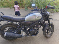 Yamaha XSR 2025 Model