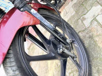 Maroon Honda Shine 125