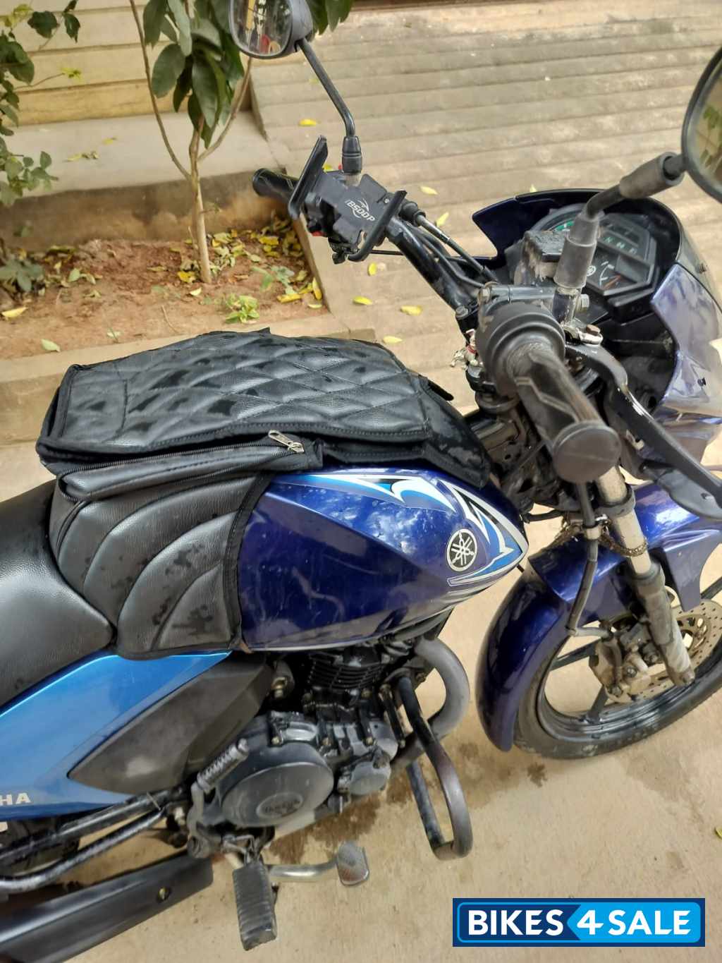 Yamaha Saluto Yamaha Saluto