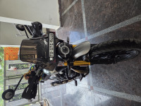 Triumph Scrambler 400 X 2024 Model