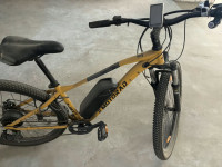 Bicycle EMotorad 2025 Model