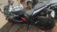 Grey TVS Apache RR 310 2024
