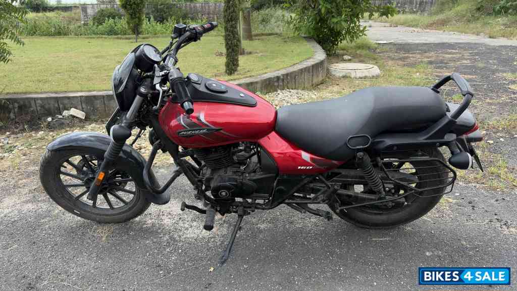 Cocktail Wine Red Bajaj Avenger Street 160