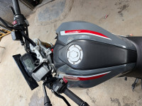 Limestone Metallic BMW G 310 R