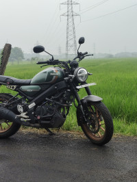 Yamaha XSR155 2025 Model
