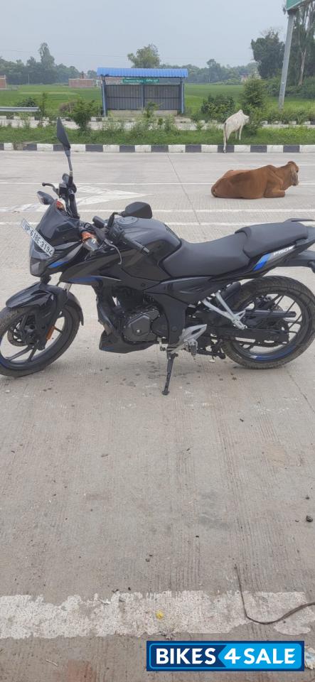 Bajaj Pulsar P150 Twin Disc Split Seat Bajaj Pulsar P150 Twin Disc Split Seat