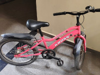 Bicycle Kross  Model