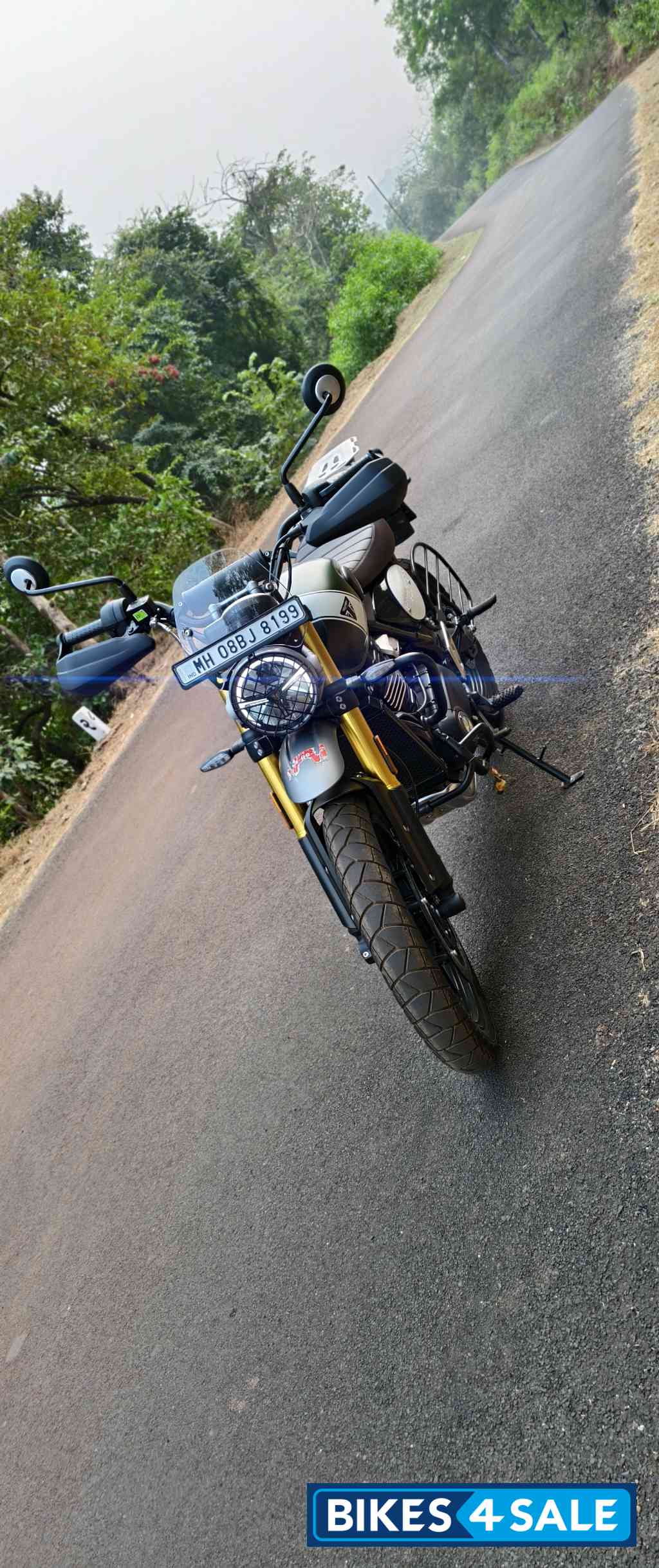 Mat Khaki Green Triumph Scrambler 400 X
