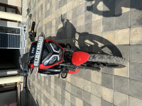 Red TVS Raider 125
