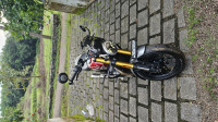 Triumph Speed 400 2024 Model