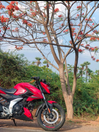 Glossy Red Bajaj Pulsar N160 Dual Channel ABS