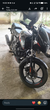 Bajaj Pulsar 125 Split Seat 2023 Model