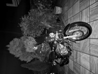 Black Bajaj Avenger Cruise 220