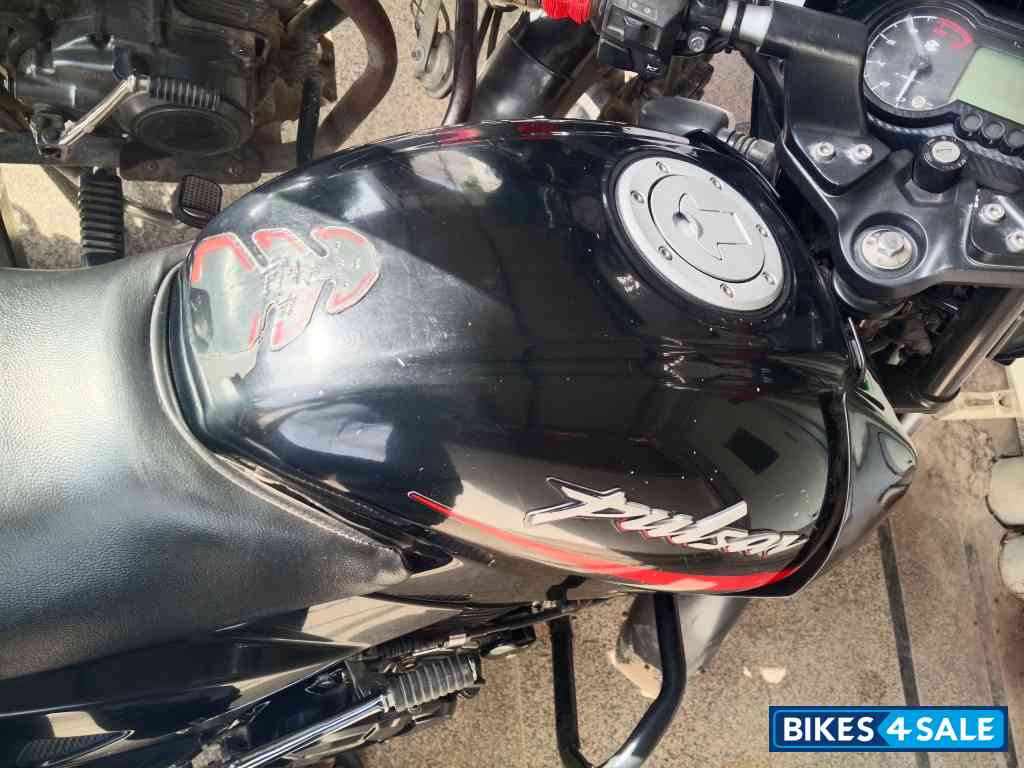 Red Black Bajaj Pulsar 125 Neon Disc Single Seat Red Black Bajaj Pulsar 125 Neon Disc Single Seat
