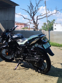 Bajaj Pulsar 125 Split Seat 2023 Model