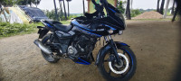 Bajaj Pulsar P150 Twin Disc Split Seat 2019 Model