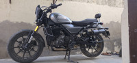 Harley Davidson X440 Vivid 2024 Model