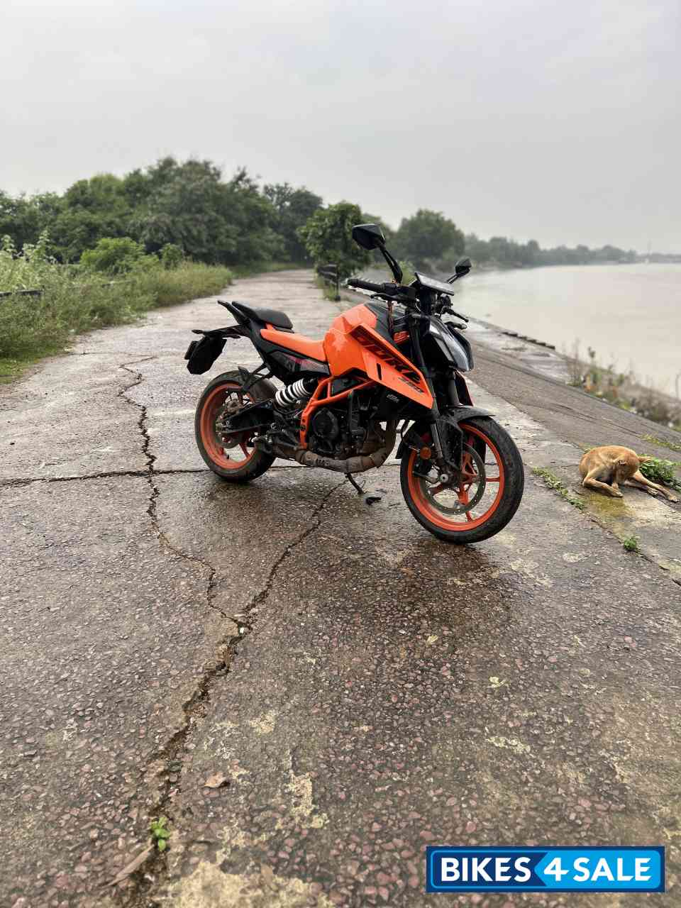 Electronic Orange KTM Duke 390 2024 Electronic Orange KTM Duke 390 2024