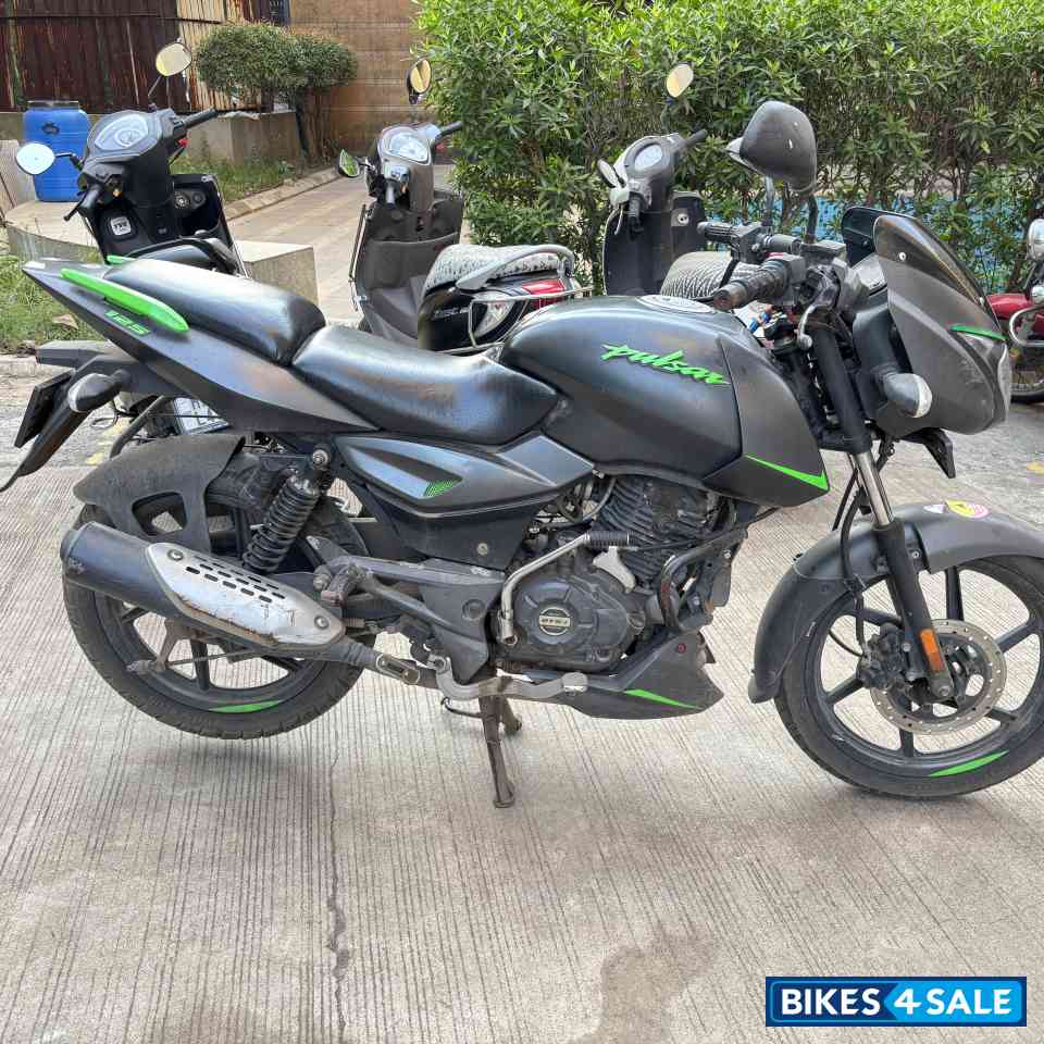 Tree Frog Green Bajaj Pulsar 125 Split Seat