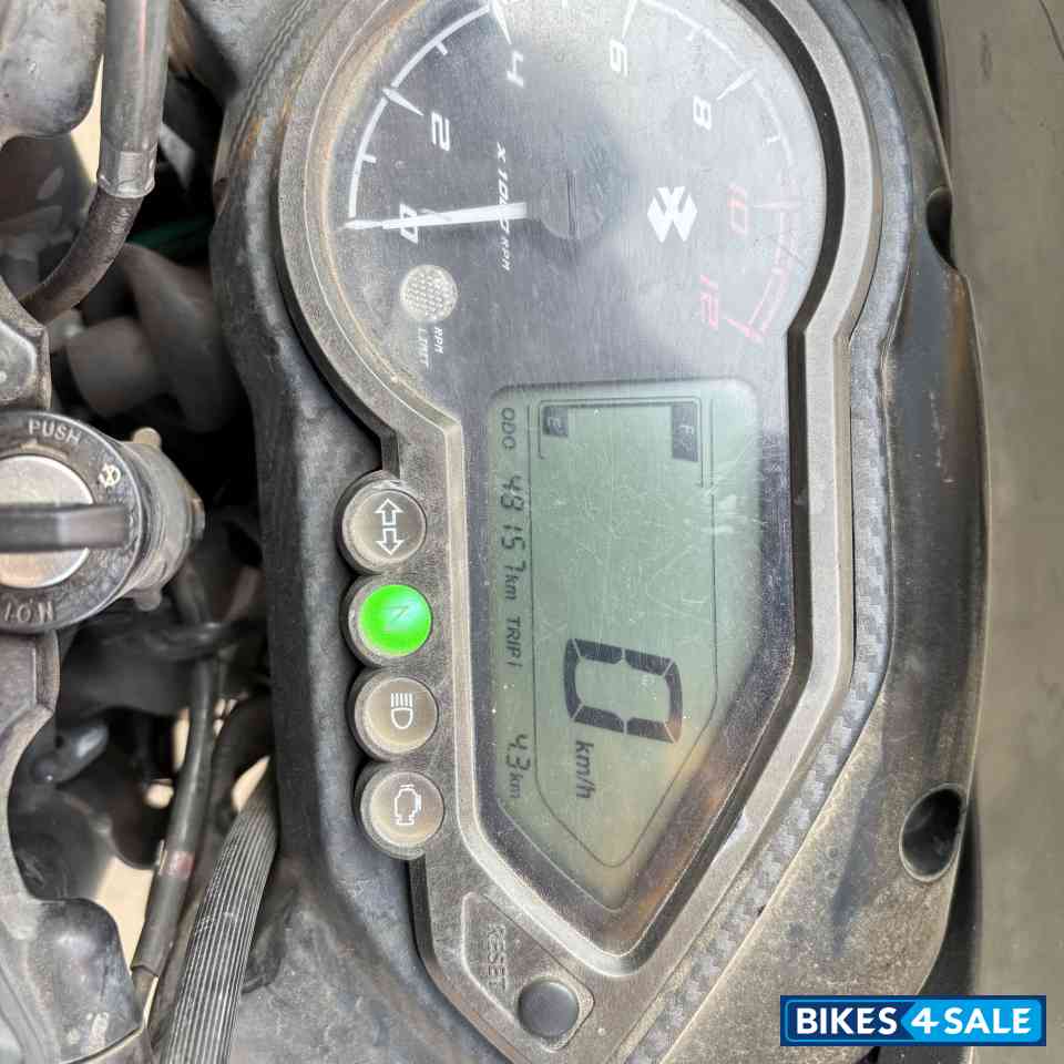 Tree Frog Green Bajaj Pulsar 125 Split Seat Tree Frog Green Bajaj Pulsar 125 Split Seat