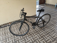 Bicycle Trek 2020 Model