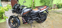 Bajaj Pulsar 125 Split Seat 2023 Model