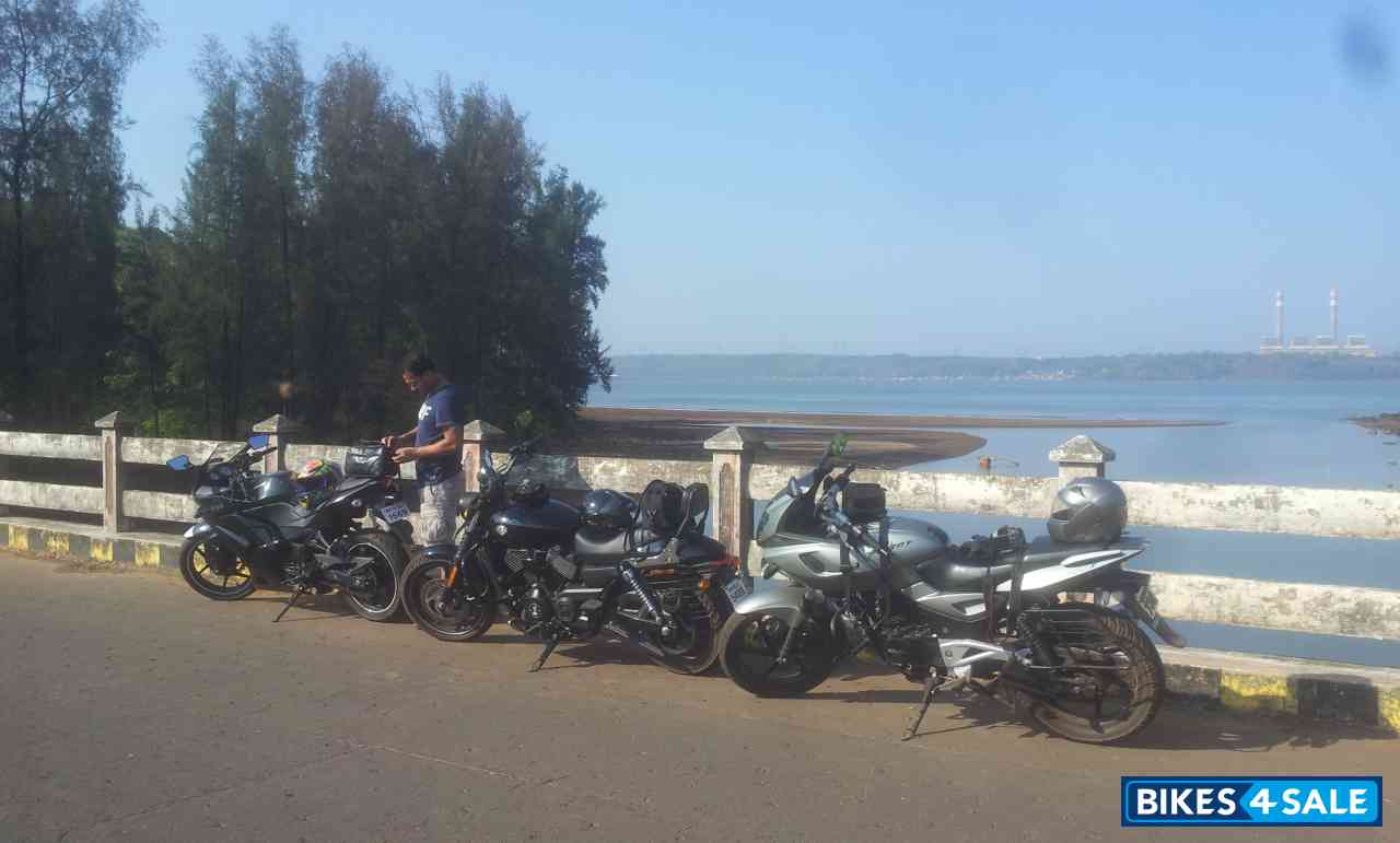 Mist Grey Silver Bajaj Pulsar 220 DTSi