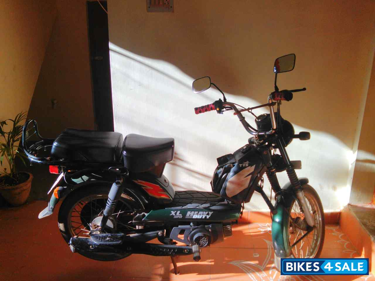 tvs sport green colour