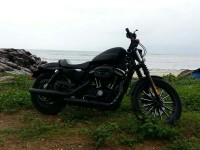 Black Harley Davidson XL 883L Sportster